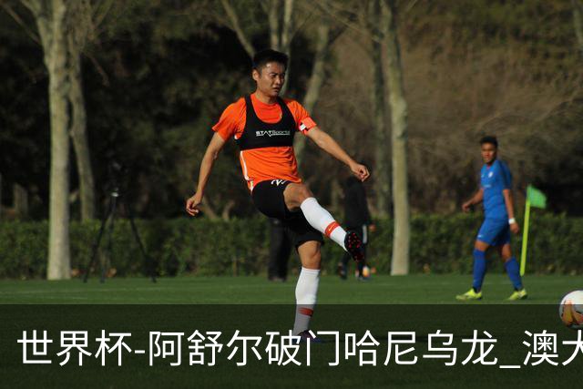 世界杯-阿舒尔破门哈尼乌龙 澳大利亚1-1埃及进加时